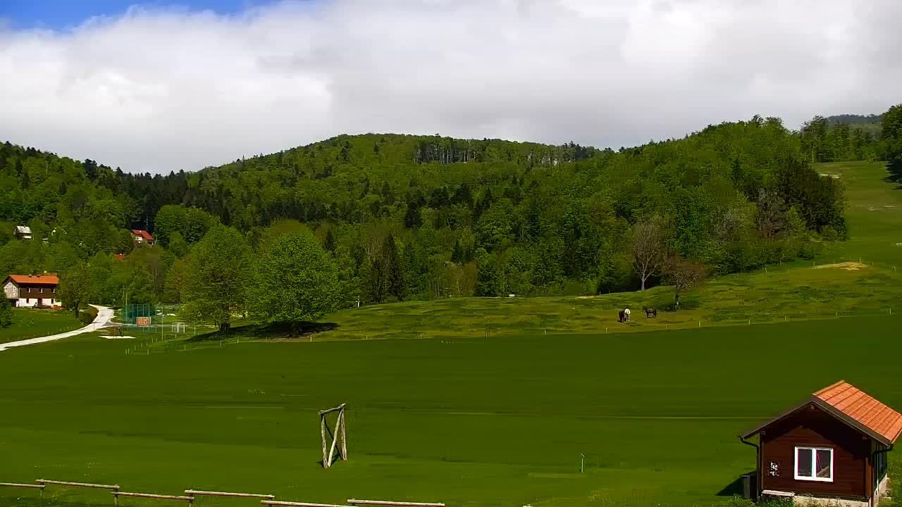 Webcam Loqua / Lokve – La bellezza della selva di Tarnova
