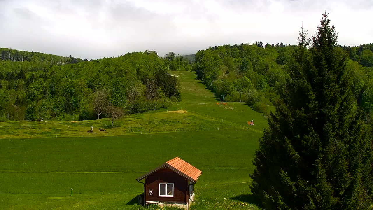 Camera en vivo Lokve – La belleza del bosque de Trnovo
