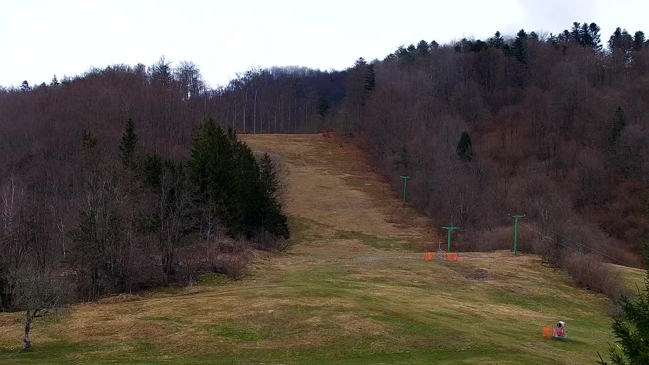 Webcam Lokve – La beauté de la forêt de Trnovo