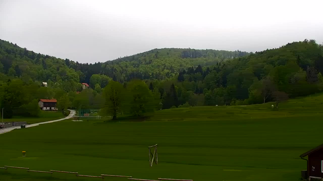 Webcam Loqua / Lokve – La bellezza della selva di Tarnova
