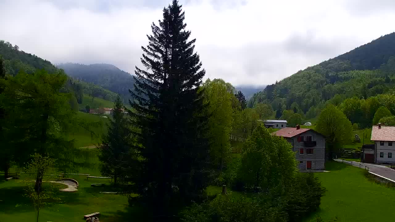 Camera en vivo Lokve – La belleza del bosque de Trnovo