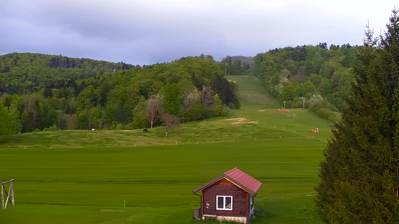 Webcam Loqua / Lokve – La bellezza della selva di Tarnova