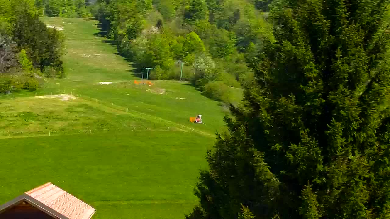 Webcam Lokve – The beauty of the Trnovo forest