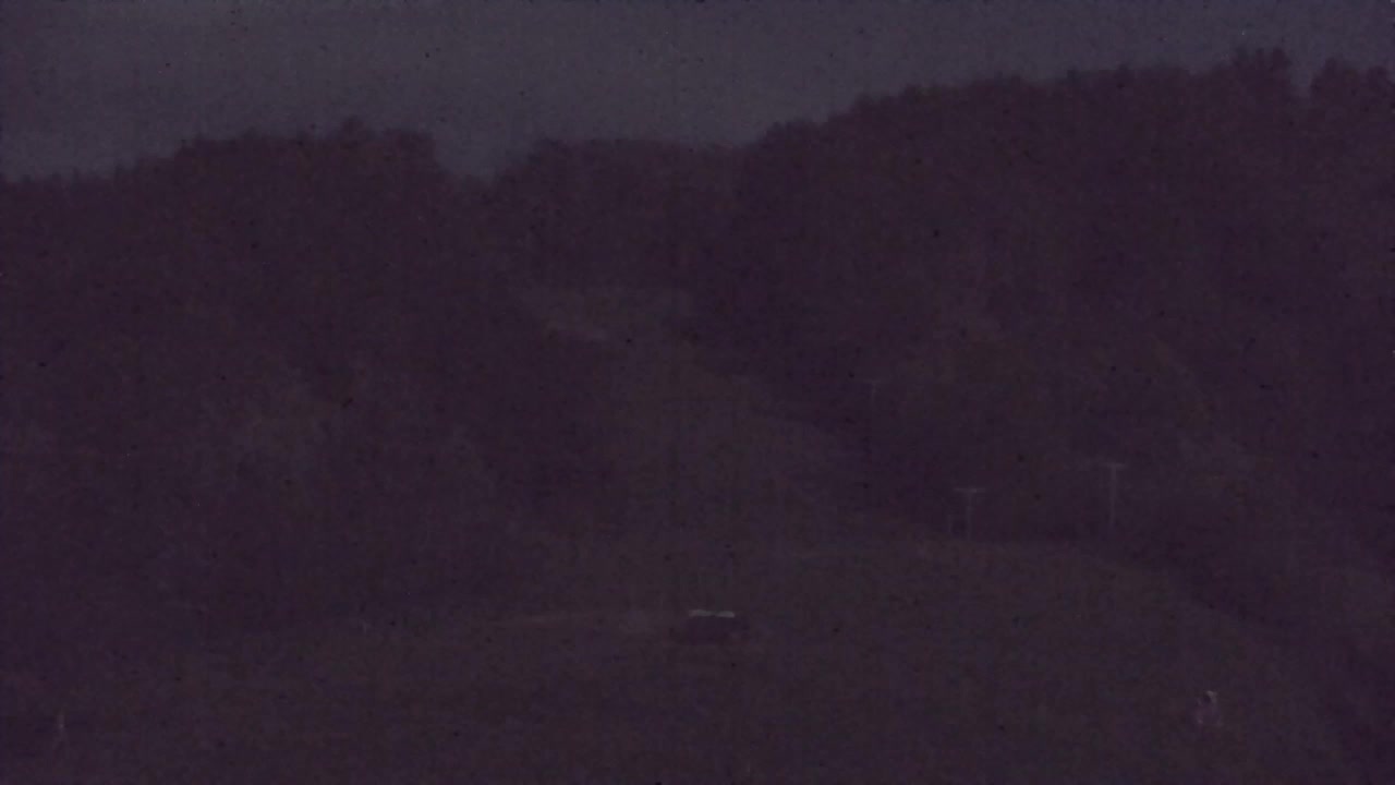 Webcam Lokve – The beauty of the Trnovo forest