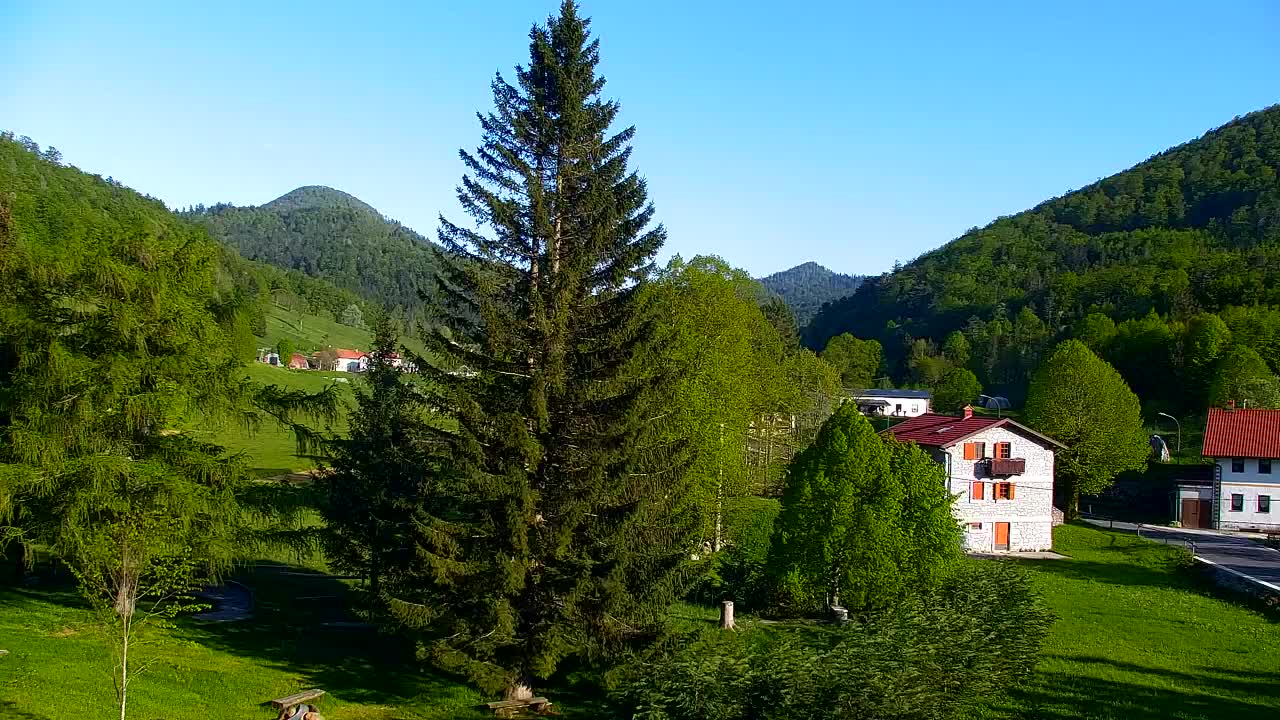 Webcam Lokve – The beauty of the Trnovo forest