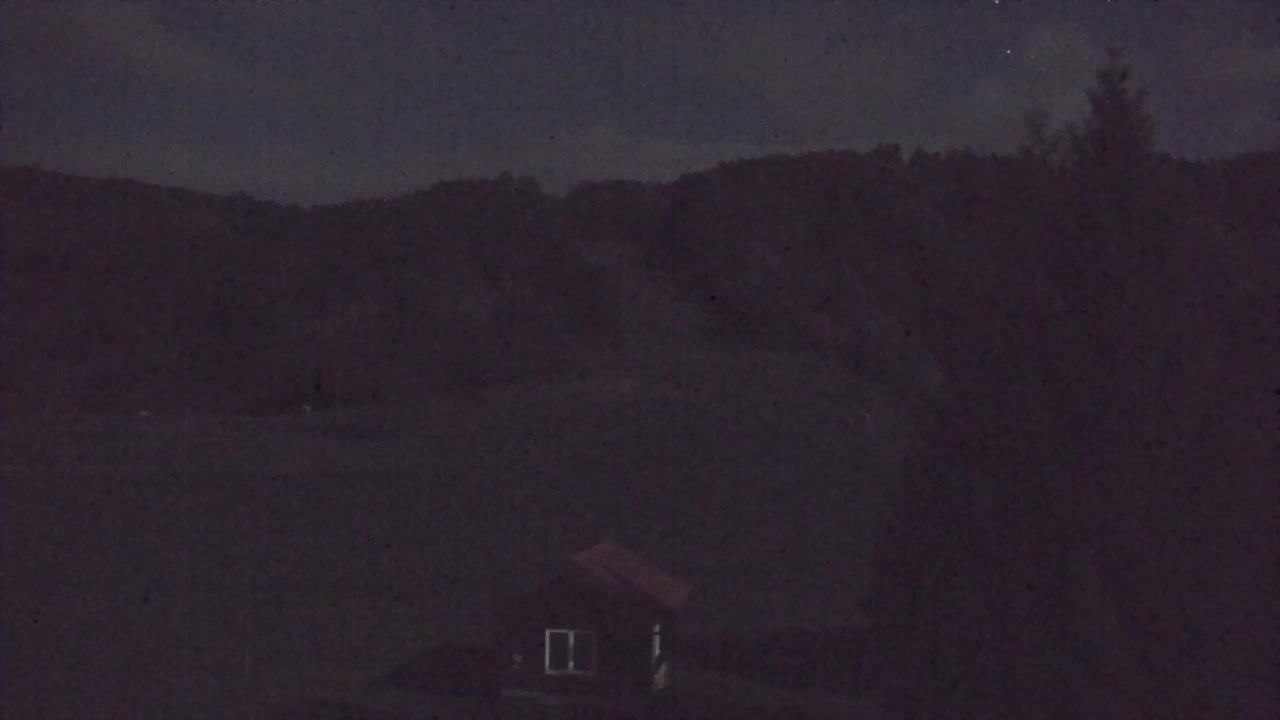 Webcam Loqua / Lokve – La bellezza della selva di Tarnova