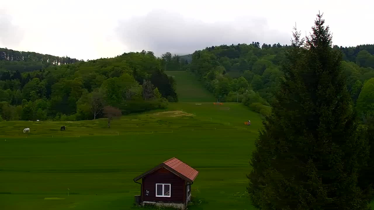 Lokve kamera – Naravne lepote Trnovskega gozda