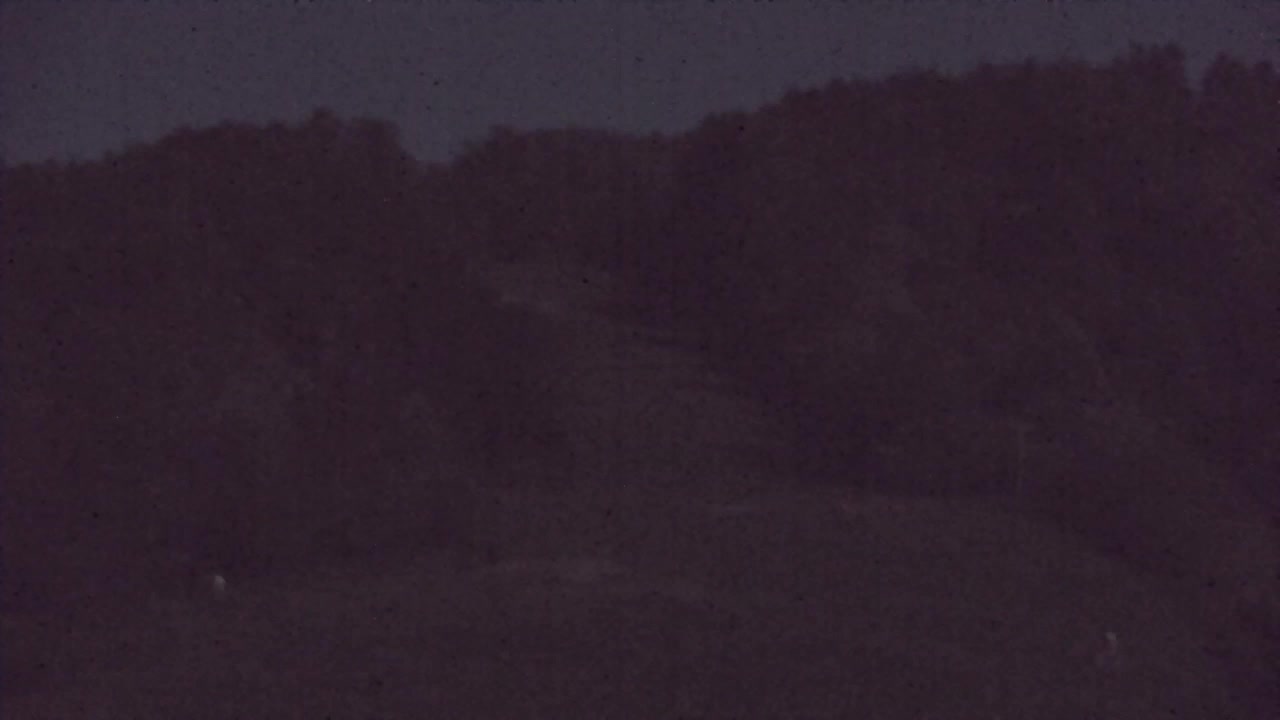 Camera en vivo Lokve – La belleza del bosque de Trnovo