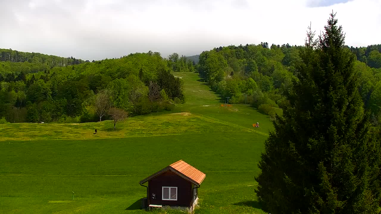 Camera en vivo Lokve – La belleza del bosque de Trnovo