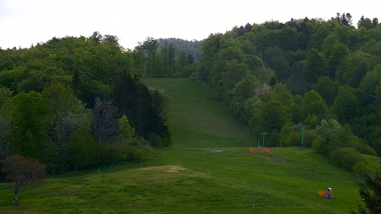 Webcam Lokve – The beauty of the Trnovo forest