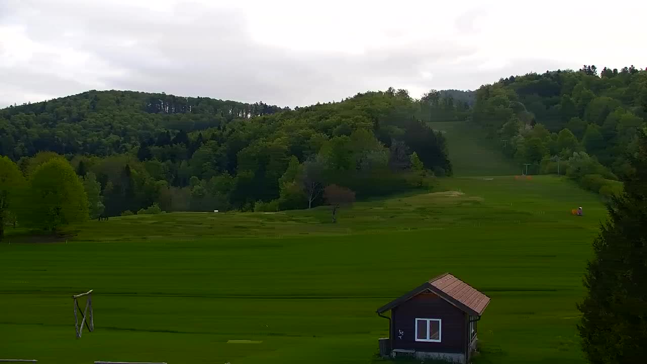Webcam Lokve – La beauté de la forêt de Trnovo