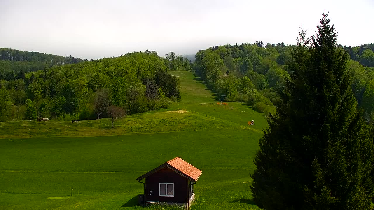 Webcam Lokve – The beauty of the Trnovo forest
