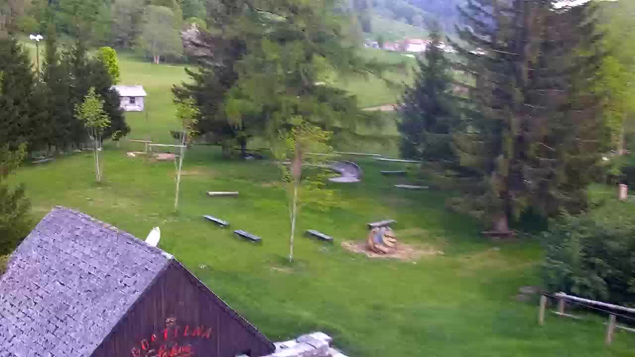 Webcam Lokve – La beauté de la forêt de Trnovo