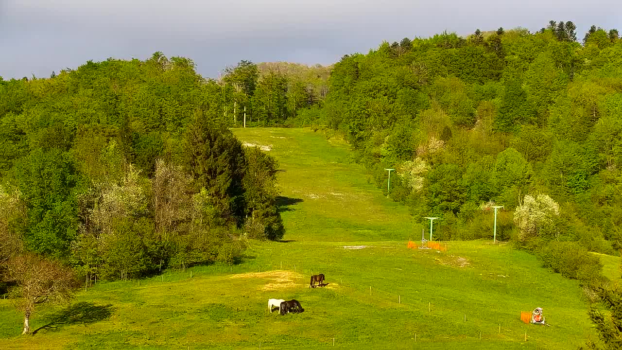 Webcam Lokve – The beauty of the Trnovo forest