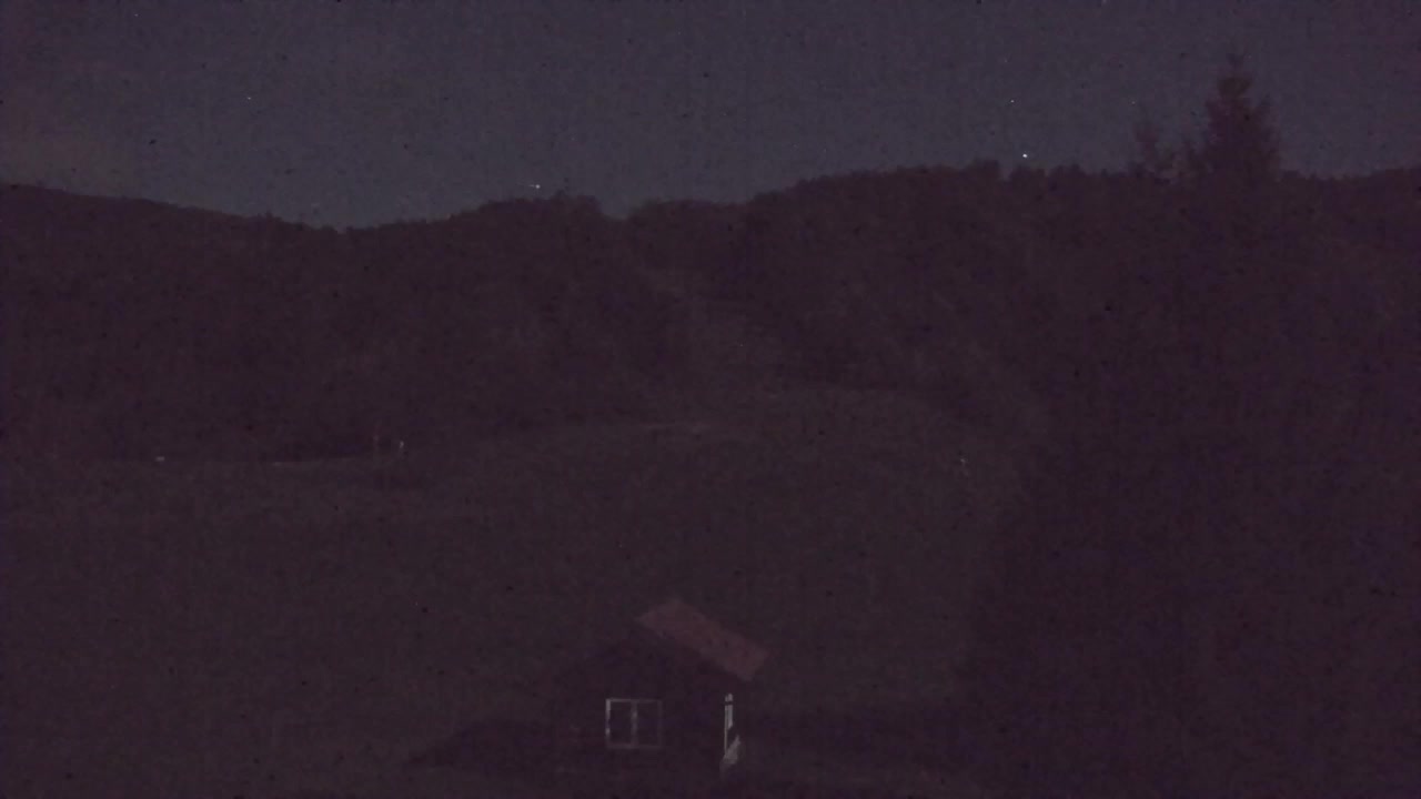 Webcam Lokve – The beauty of the Trnovo forest