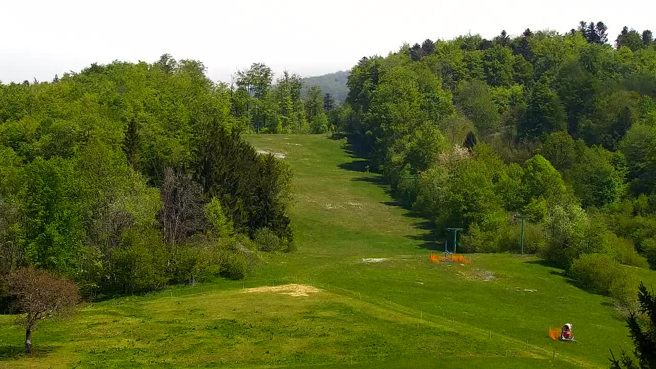 Webcam Lokve – The beauty of the Trnovo forest