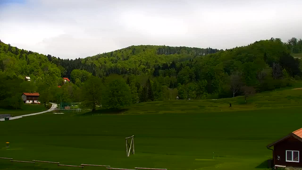 Camera en vivo Lokve – La belleza del bosque de Trnovo