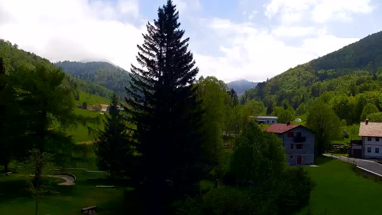 Webcam Lokve – The beauty of the Trnovo forest