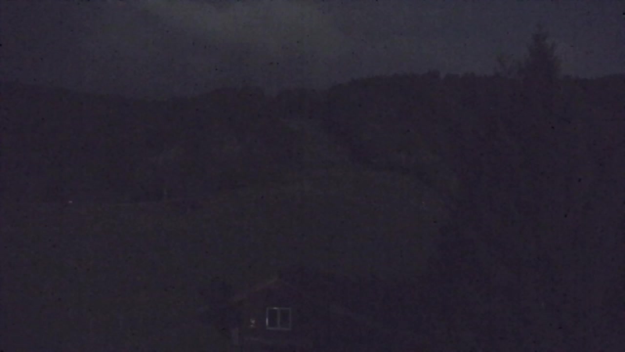 Webcam Loqua / Lokve – La bellezza della selva di Tarnova