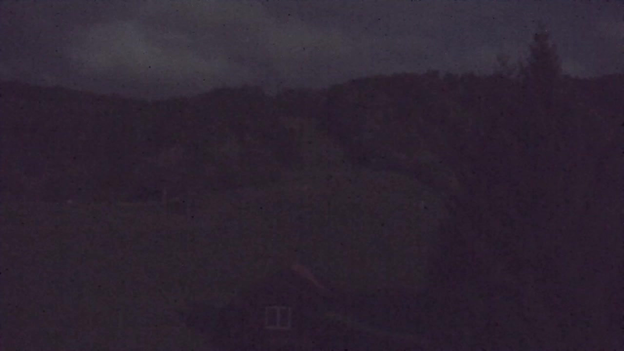 Webcam Lokve – The beauty of the Trnovo forest