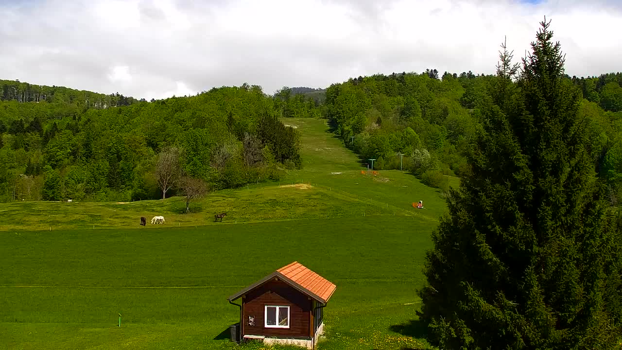 Webcam Lokve – The beauty of the Trnovo forest