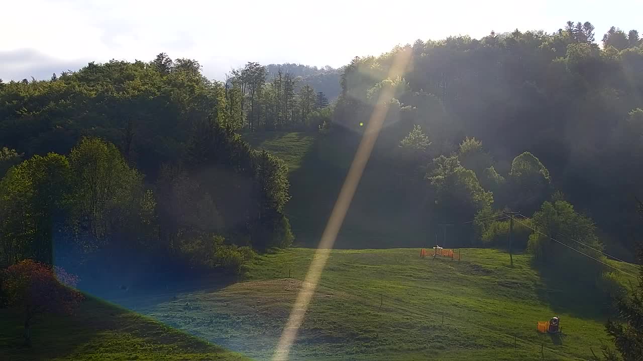 Webcam Lokve – La beauté de la forêt de Trnovo