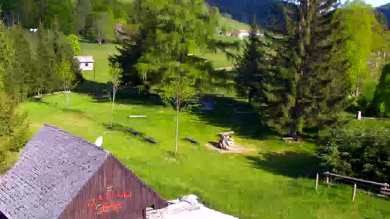 Webcam Lokve – La beauté de la forêt de Trnovo