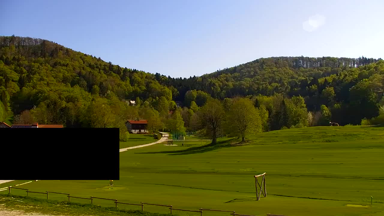 Webcam Lokve – The beauty of the Trnovo forest