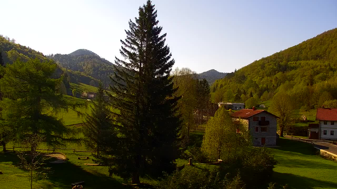 Webcam Lokve – The beauty of the Trnovo forest