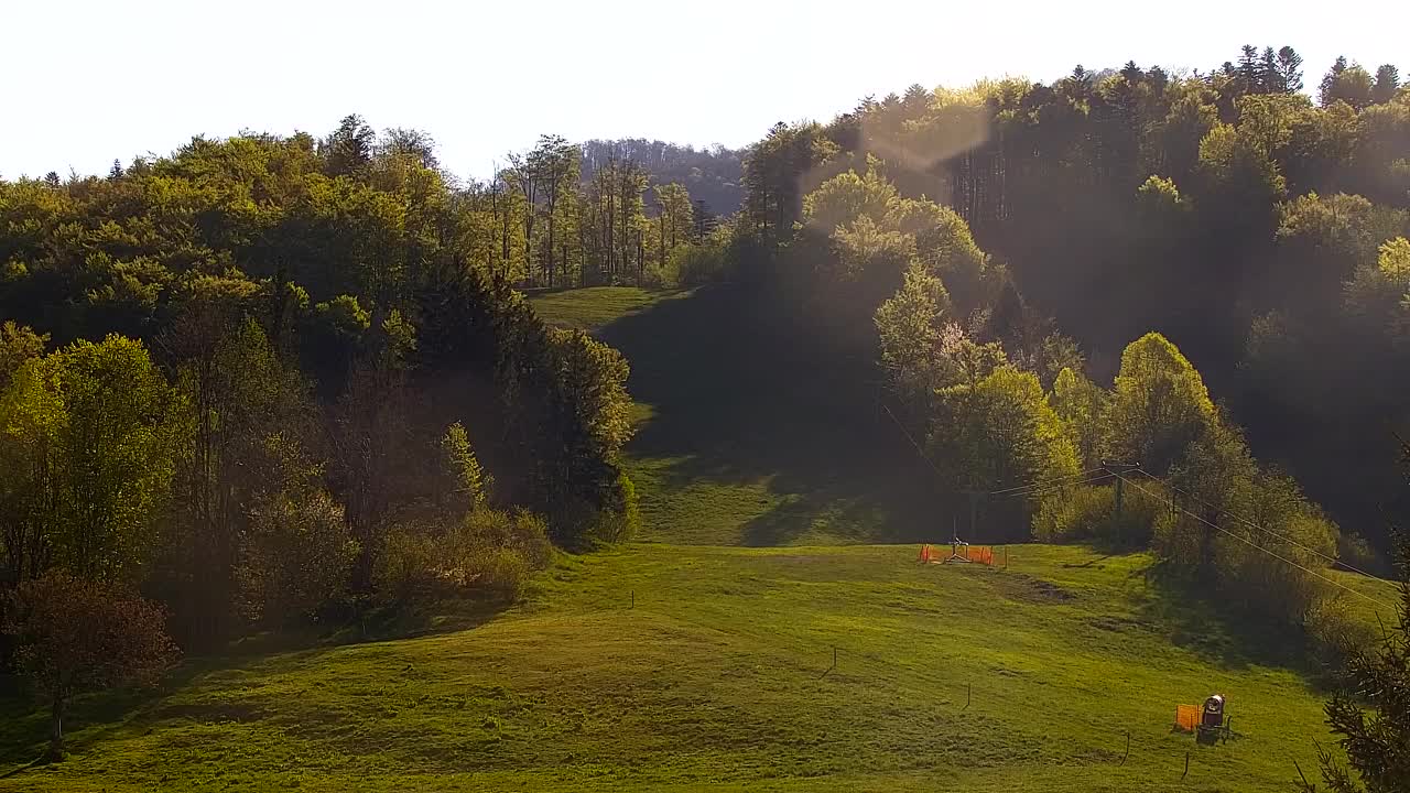 Webcam Lokve – The beauty of the Trnovo forest