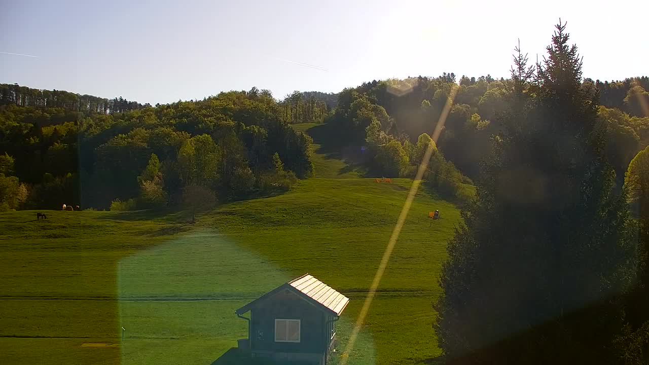 Webcam Lokve – The beauty of the Trnovo forest