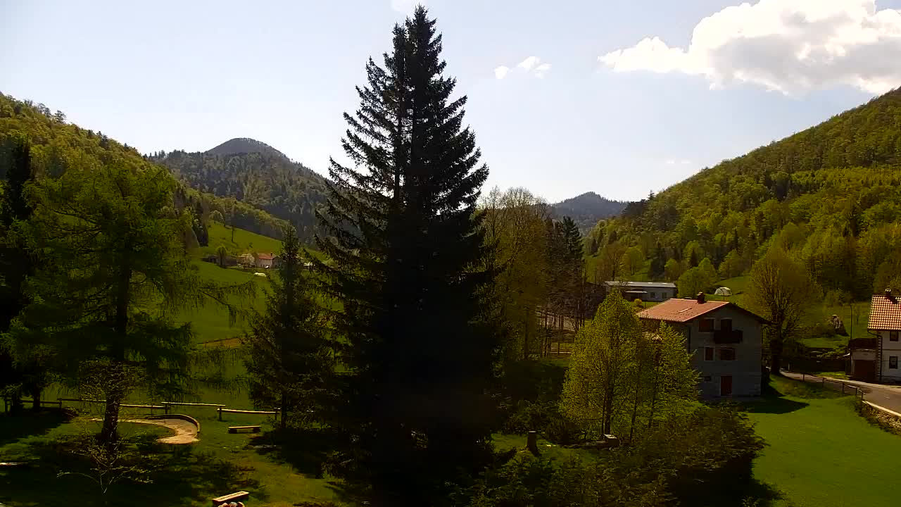 Webcam Lokve – The beauty of the Trnovo forest