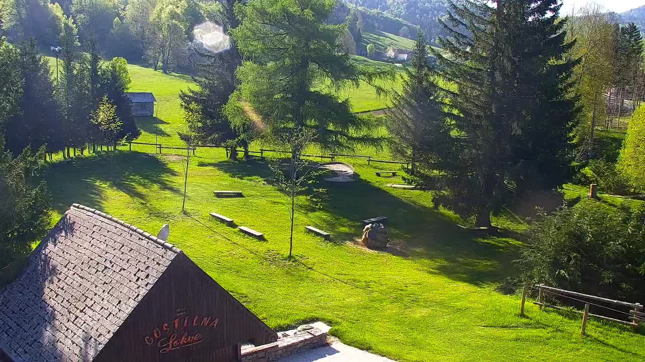 Webcam Lokve – The beauty of the Trnovo forest