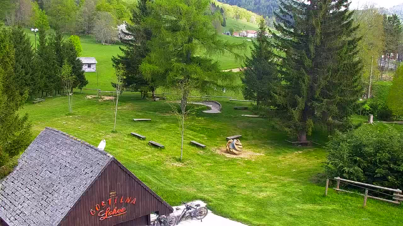 Webcam Lokve – Die Schönheit des Trnovo-Waldes