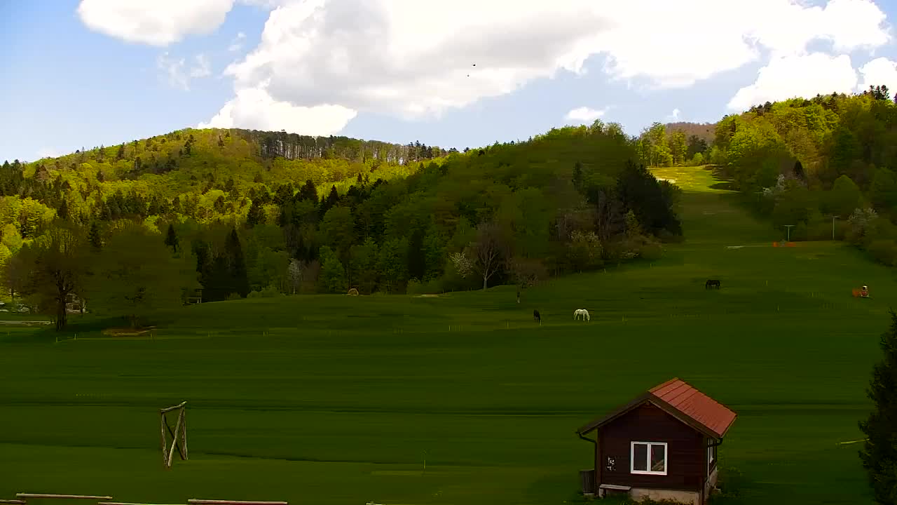 Webcam Lokve – The beauty of the Trnovo forest