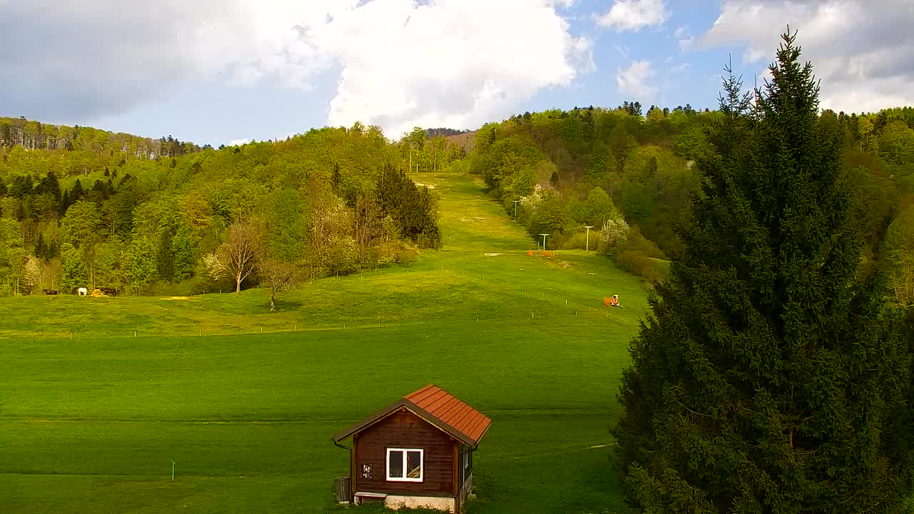Webcam Lokve – The beauty of the Trnovo forest