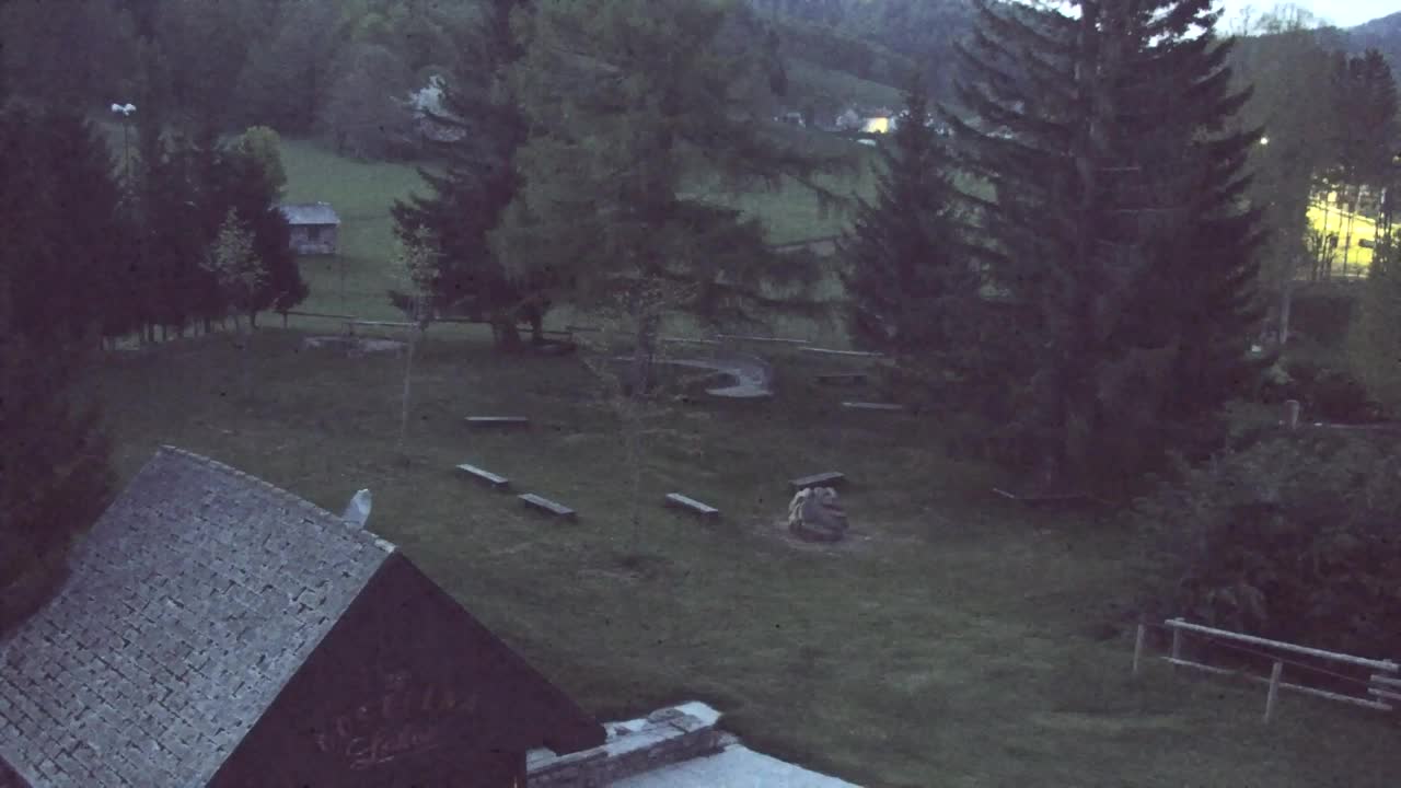 Webcam Lokve – The beauty of the Trnovo forest