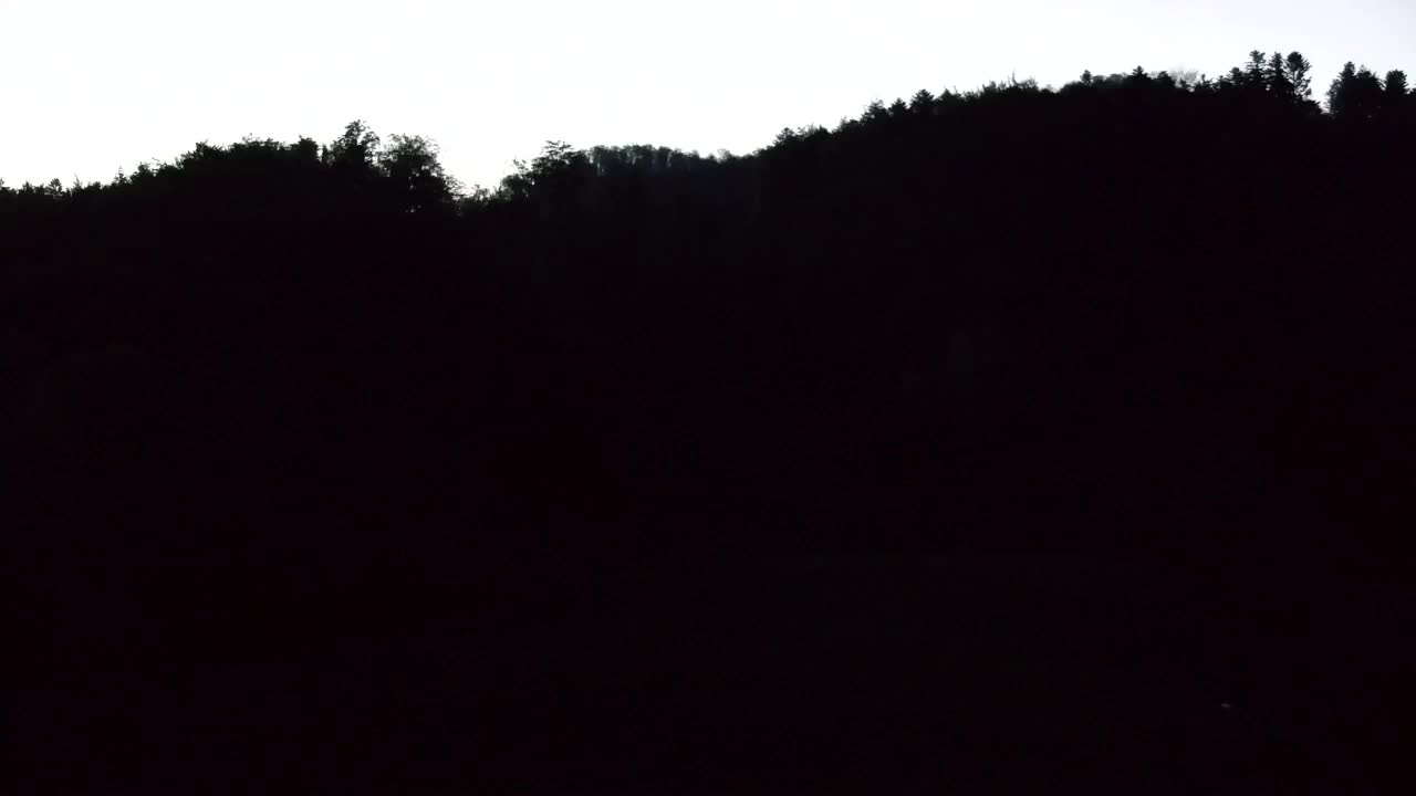Webcam Lokve – The beauty of the Trnovo forest