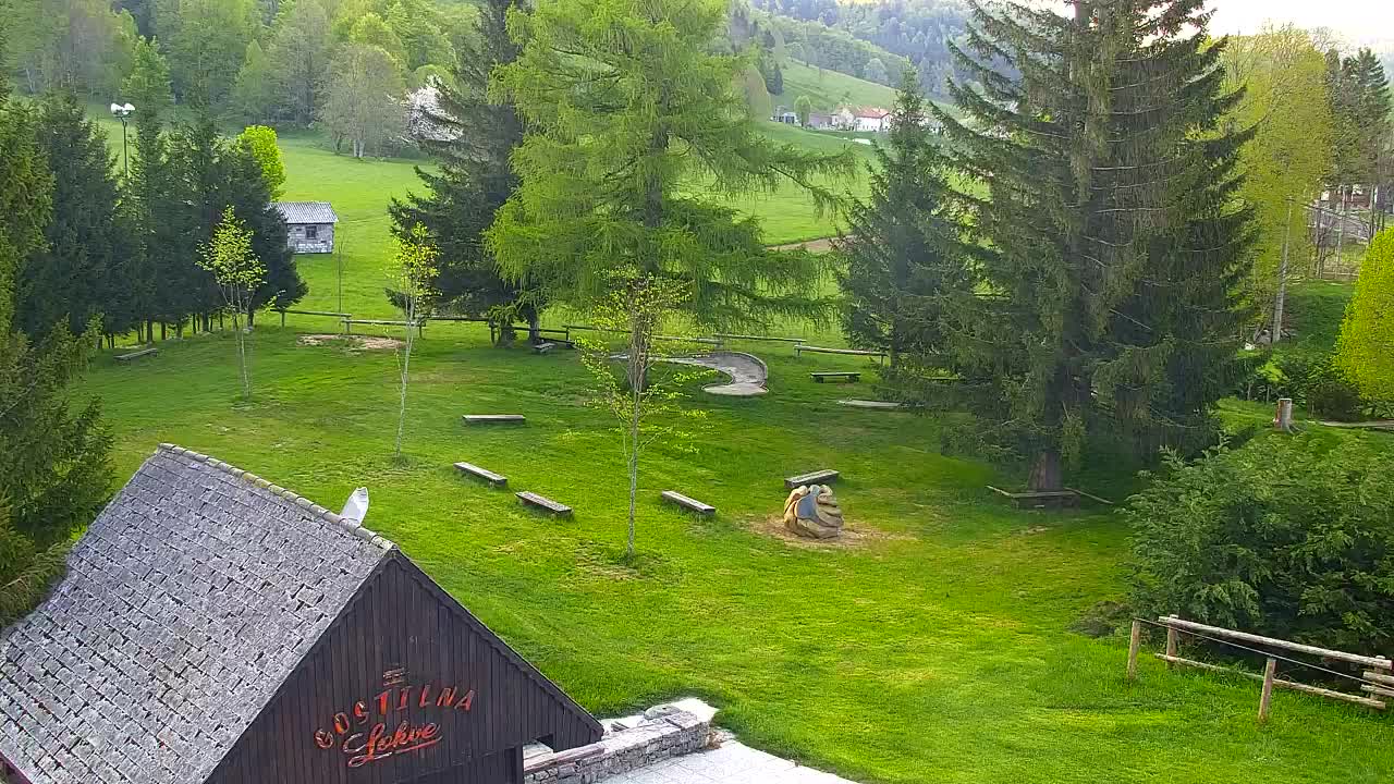 Webcam Lokve – The beauty of the Trnovo forest