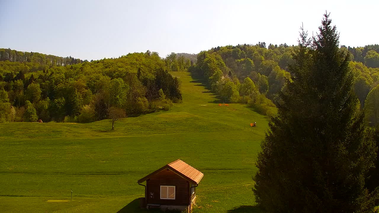 Webcam Loqua / Lokve – La bellezza della selva di Tarnova