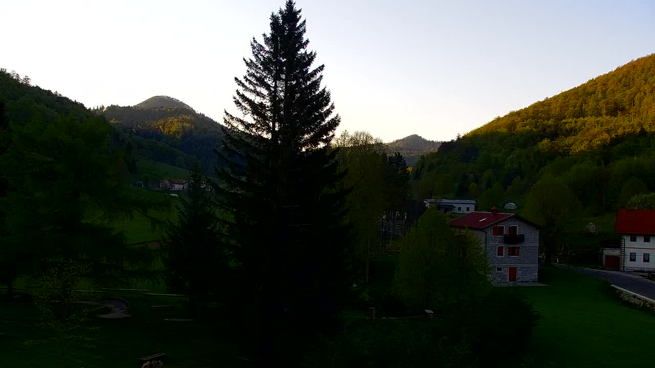 Webcam Loqua / Lokve – La bellezza della selva di Tarnova