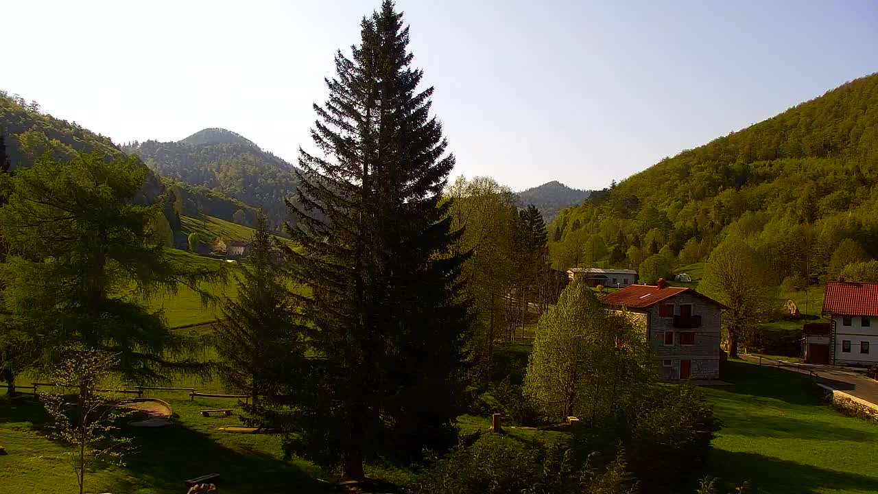 Webcam Lokve – Die Schönheit des Trnovo-Waldes