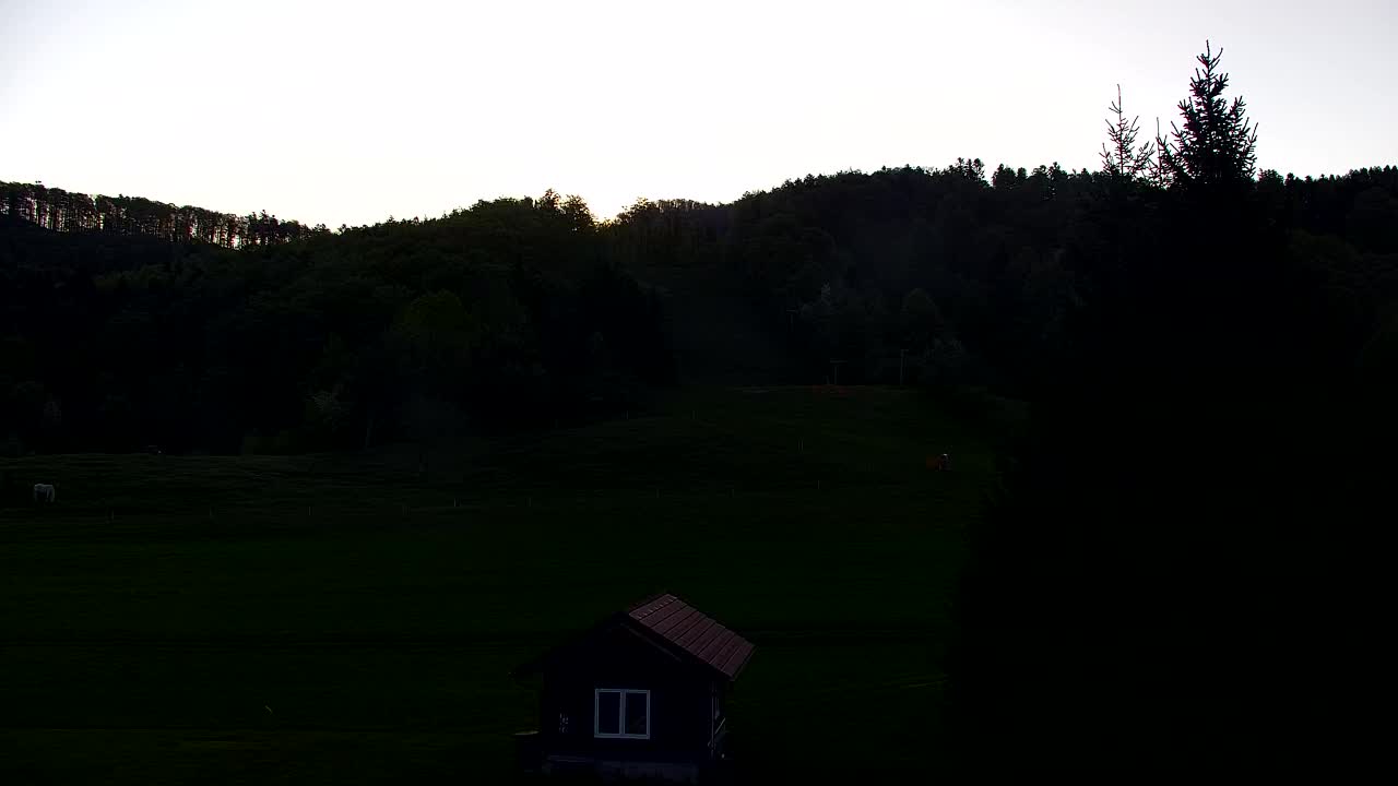 Webcam Loqua / Lokve – La bellezza della selva di Tarnova
