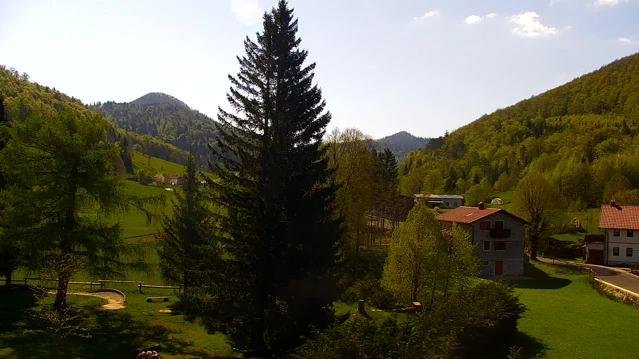 Webcam Lokve – Die Schönheit des Trnovo-Waldes