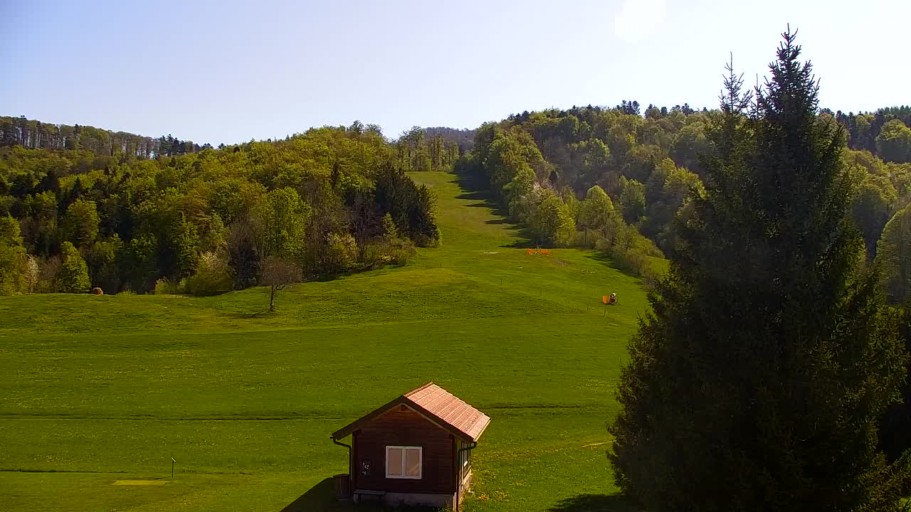 Webcam Lokve – La beauté de la forêt de Trnovo