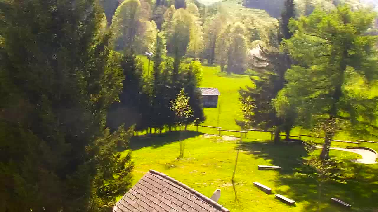 Webcam Lokve – The beauty of the Trnovo forest