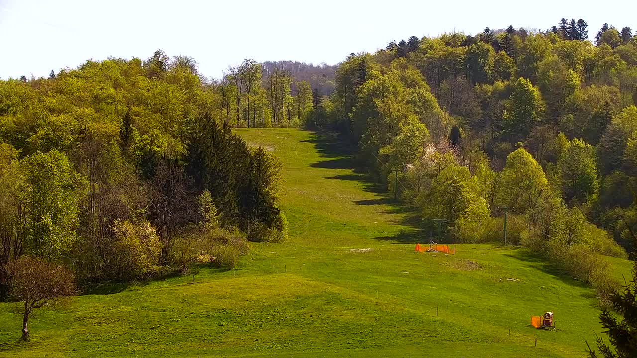 Webcam Lokve – The beauty of the Trnovo forest
