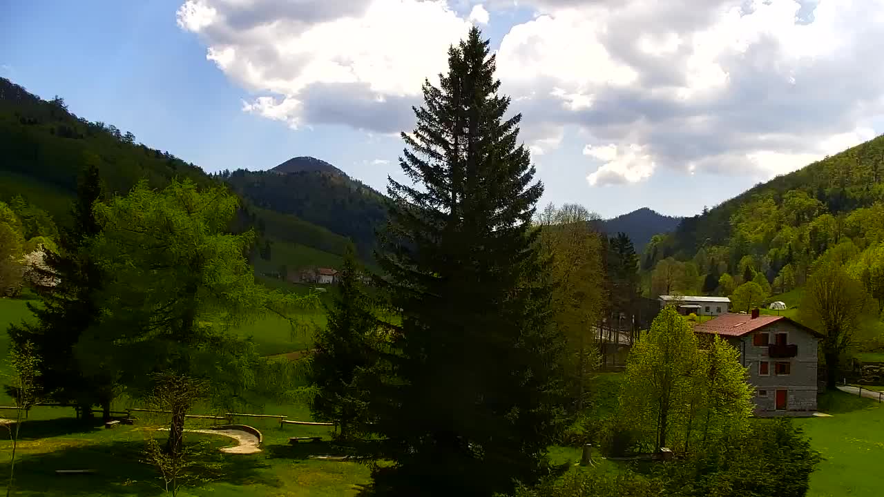 Webcam Lokve – The beauty of the Trnovo forest