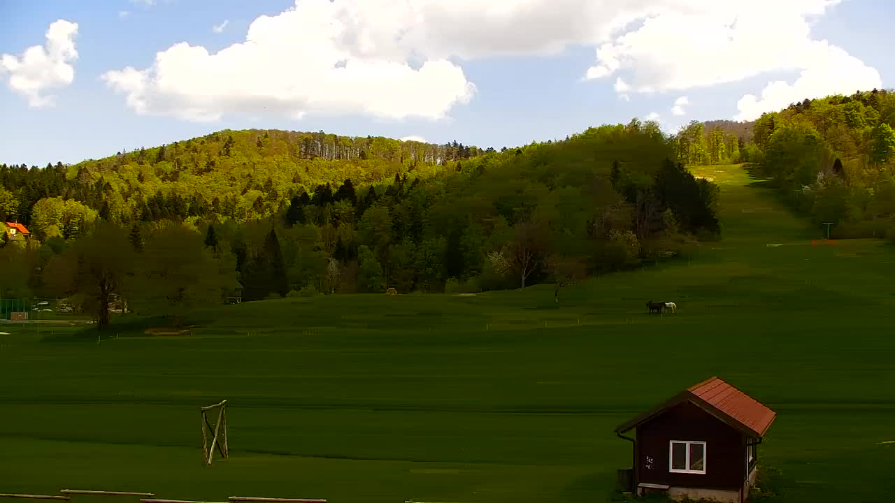 Webcam Lokve – The beauty of the Trnovo forest