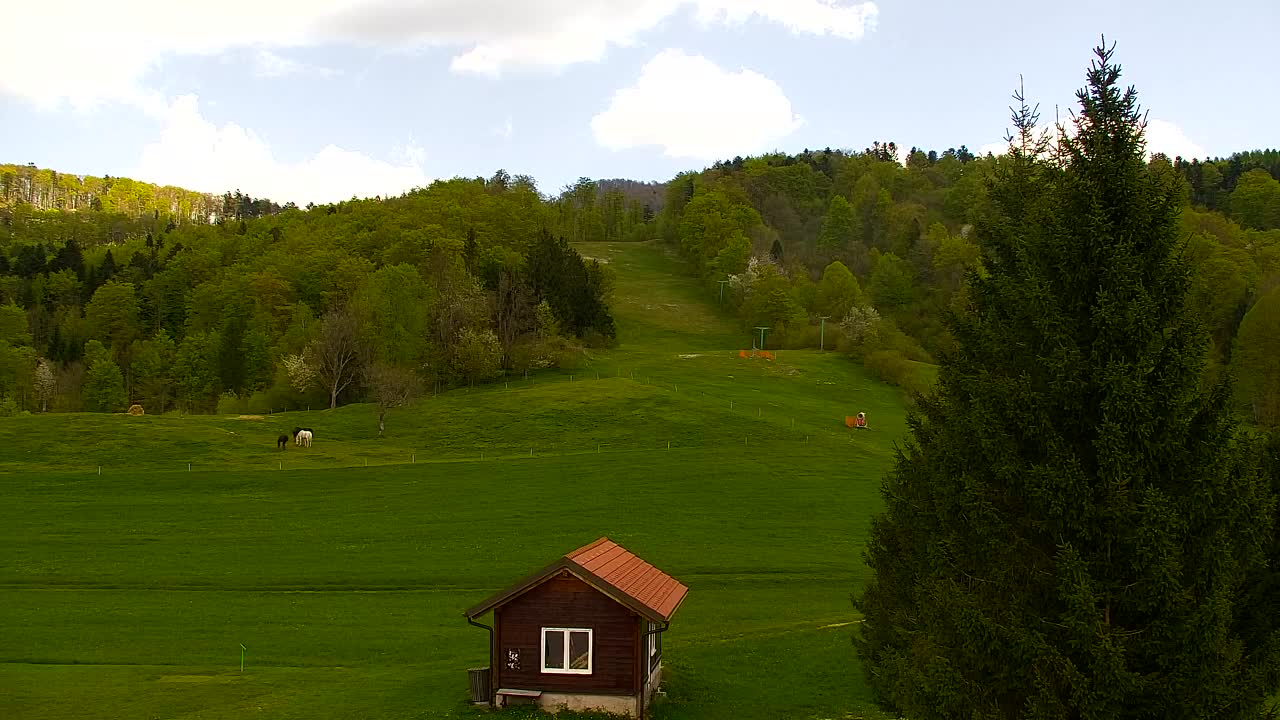 Webcam Lokve – Die Schönheit des Trnovo-Waldes